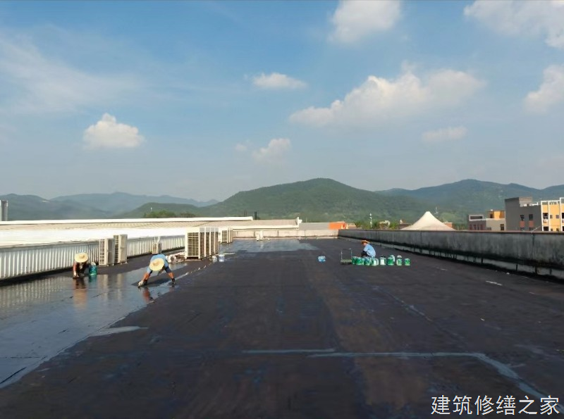 宿州2026灵璧县 彩钢瓦除锈翻新防腐 排名前十的源头厂家