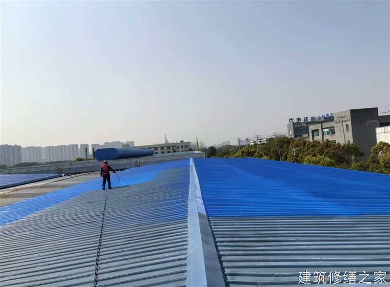 蚌埠2026龙子湖区 彩钢瓦除锈翻新防腐 排名前十的源头厂家